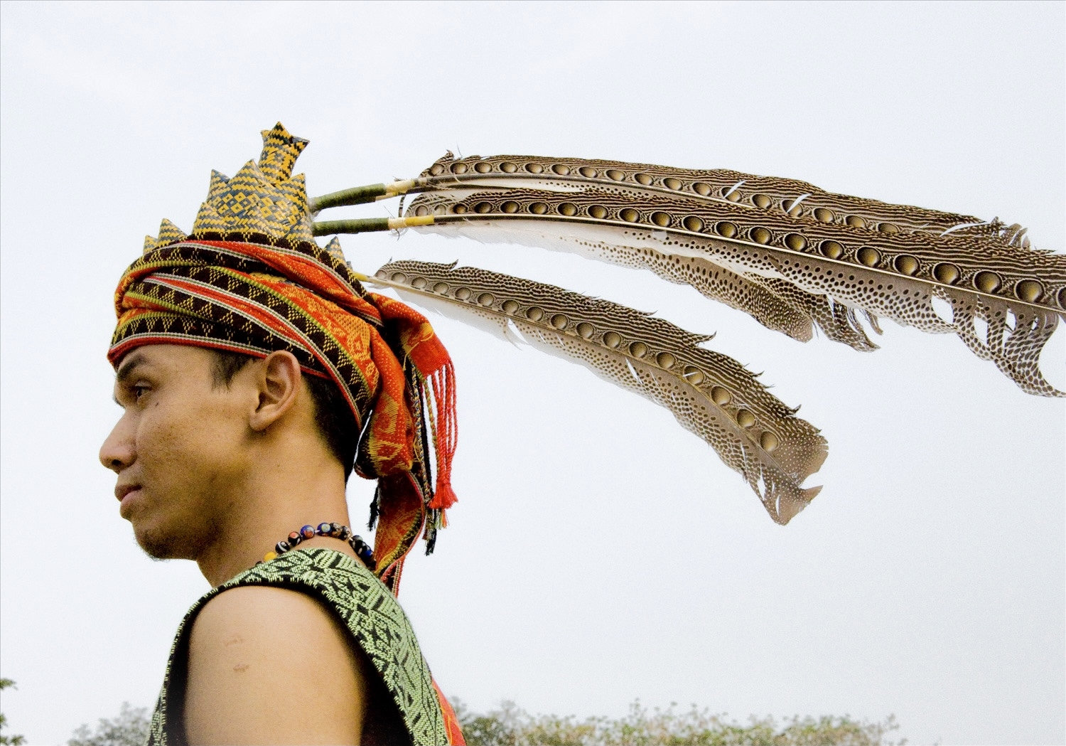 Trang sức lông chim của dân tộc Marut, vùng Sabah, đảo Borneo, Malaysia Trang sức lông chim của dân tộc Marut, vùng Sabah, đảo Borneo, Malaysia