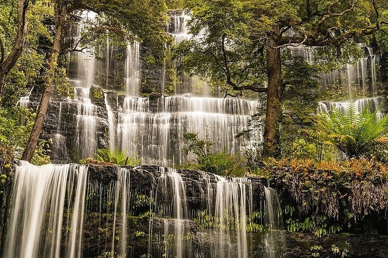 Đảo Tasmania - Thiên đường trong lành của nước Úc 4