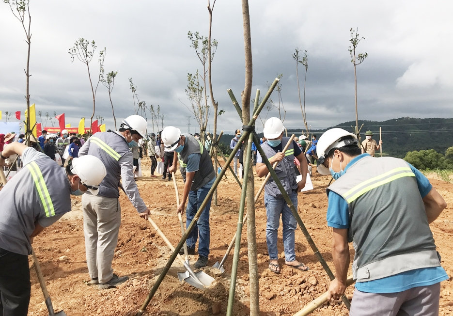 Quảng Trị: Phát động trồng cây xanh bảo vệ môi trường sinh thái ở khu vực triển khai các dự án điện gió 