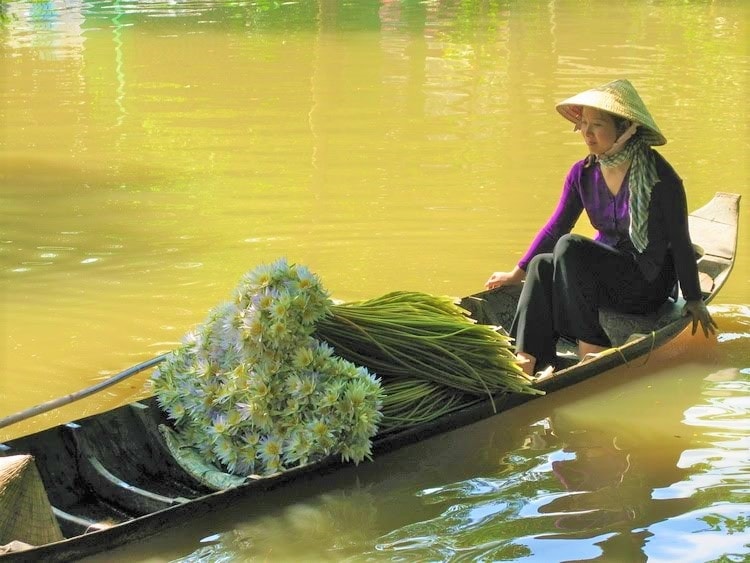 Một thoáng sông nước Cửu Long (ảnh minh họa)