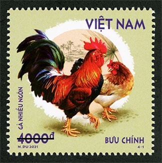 Gà nhiều ngón Gà nhiều ngón