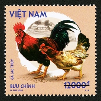 Gà Lạc Thủy Gà Lạc Thủy