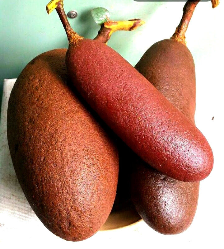 Những trái cà đá