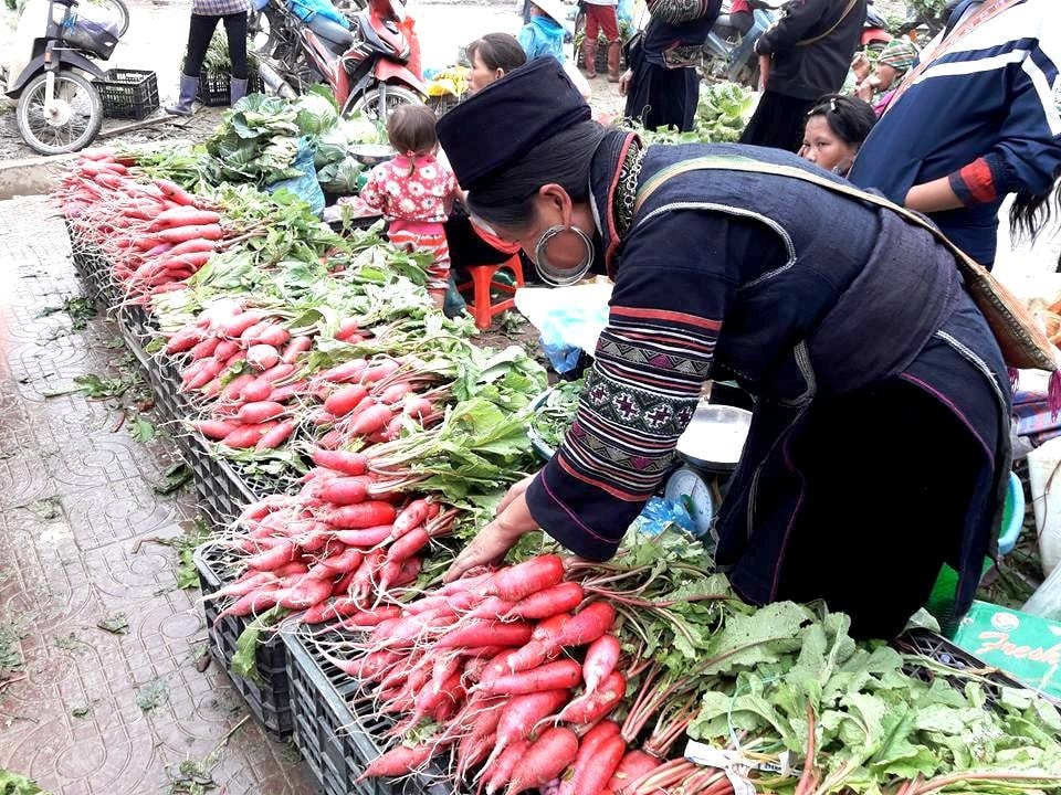 Đặc sản củ cải đỏ ở chợ phiên Tây Bắc