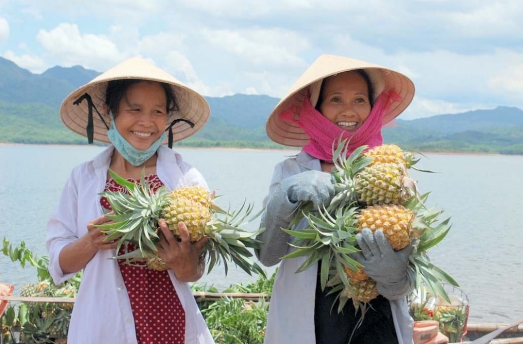 Người dân Khe Tân mời du khách mua dứa Người dân Khe Tân mời du khách mua dứa