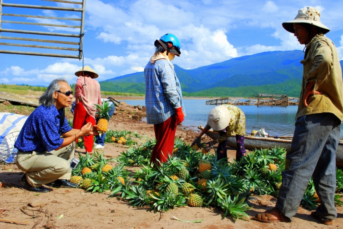 Người dân Khe Tân tập kết dứa ngay bên hồ để bán cho du khách Người dân Khe Tân tập kết dứa ngay bên hồ để bán cho du khách