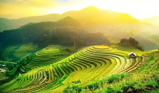 Ruộng bậc thang Hoàng Su Phì Ruộng bậc thang Hoàng Su Phì