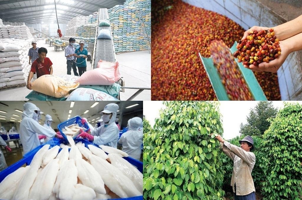 8 tháng đầu năm 2021, kim ngạch xuất khẩu nông, lâm, thủy sản ước đạt 32,1 tỷ USD, tăng 21,6% so với cùng kỳ năm trước. Ảnh: Internet