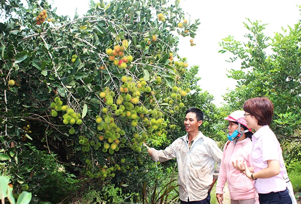 Việc triển khai kịp thời các chính sách đã giúp nhiều hộ vươn lên thoát nghèo. (Ảnh chụp trước ngày 27/4/2021)