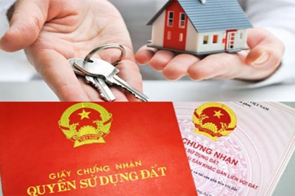 Ảnh minh họa Ảnh minh họa