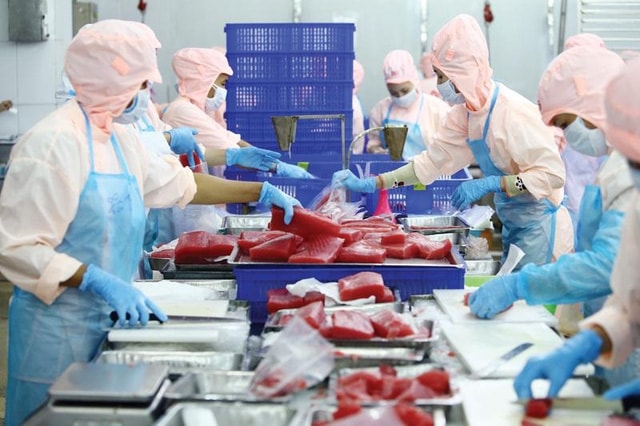 11 hiệp hội kiến nghị miễn đóng bảo hiểm xã hội cho doanh nghiệp và người lao động chịu tác động của dịch COVID-19. (Ảnh minh họa: Báo Đầu tư) 11 hiệp hội kiến nghị miễn đóng bảo hiểm xã hội cho doanh nghiệp và người lao động chịu tác động của dịch COVID-19. (Ảnh minh họa: Báo Đầu tư)