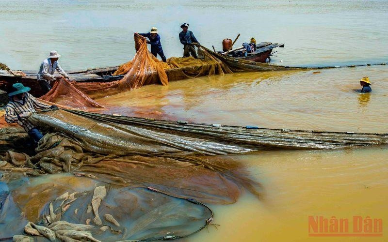 Khi nước cạn, việc kéo lưới để bắt thủy sản của ngư dân mưu sinh trên hồ thực hiện dễ dàng hơn