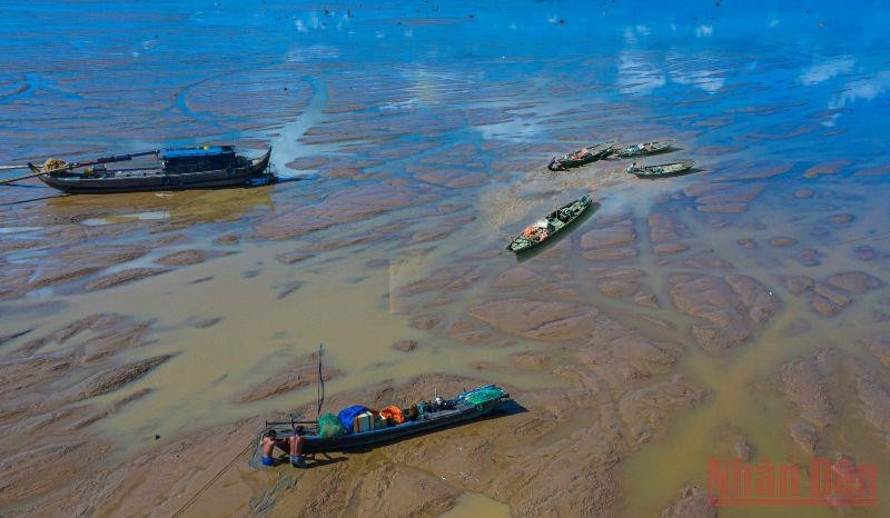 Có những thời điểm nước cạn trơ đáy, chỉ còn những vũng nước nhỏ, ngư dân chỉ cần đi bộ trên mặt hồ để bắt thủy sản
