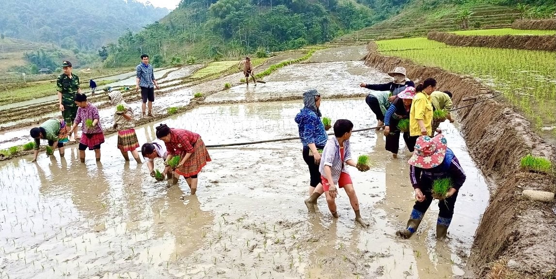 Mô hình trồng lúa nước của đồng bào DTTS ở vùng cao Thanh Hóa Mô hình trồng lúa nước của đồng bào DTTS ở vùng cao Thanh Hóa