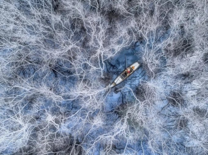 “Đánh cá ở rừng ngập mặn” (Phạm Huy Trung) - Ảnh: Drone Awards 2021