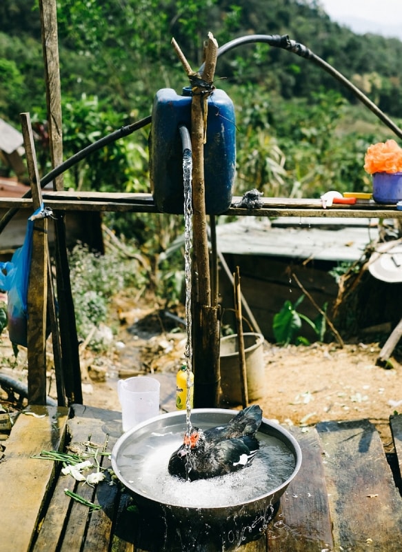 Chuyện mới trên nóc Lâng Loan 9
