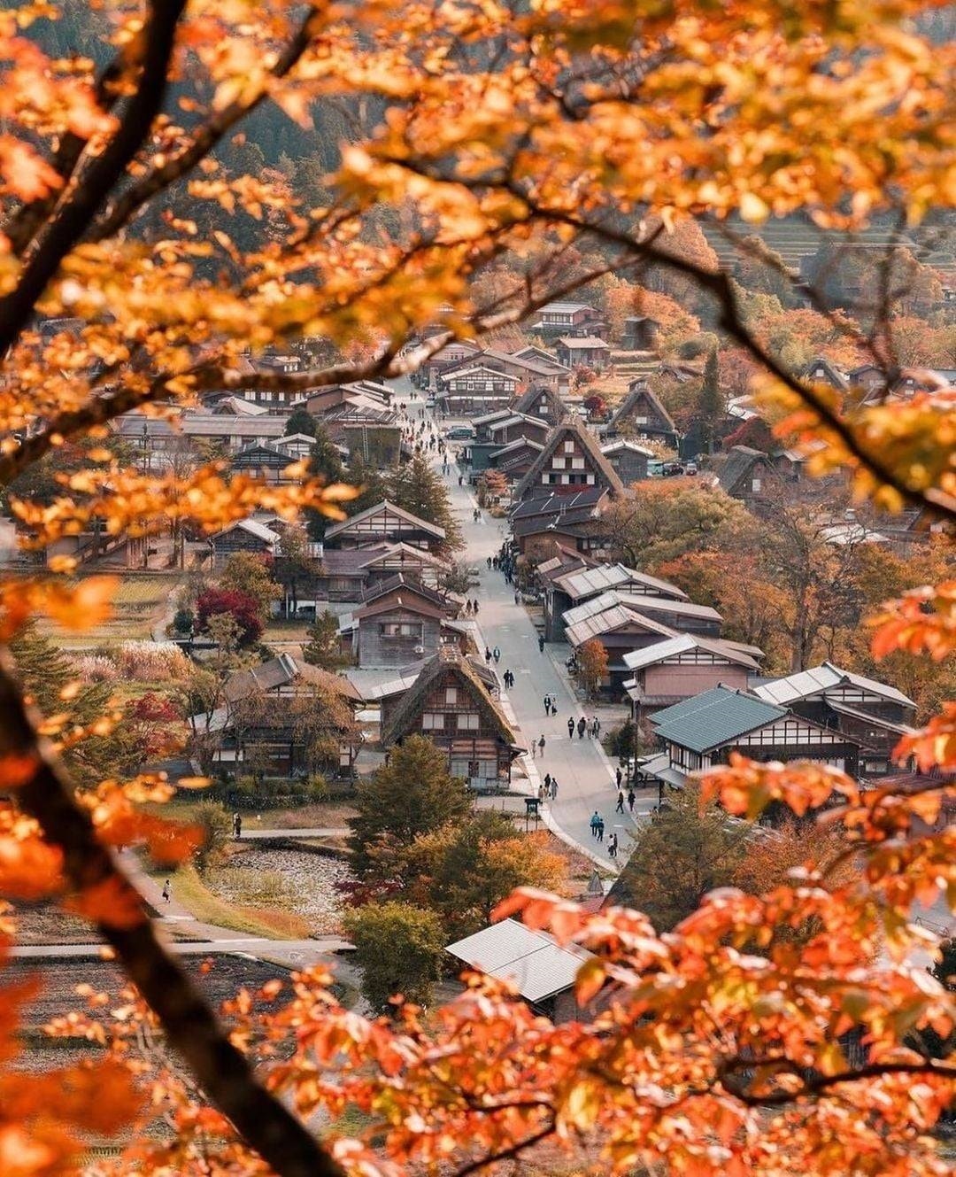    Làng cổ Shirakawago vào Thu 6