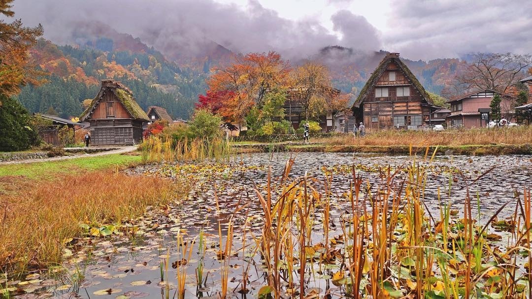    Làng cổ Shirakawago vào Thu 4