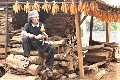 Nhạc sĩ Mùi Hái