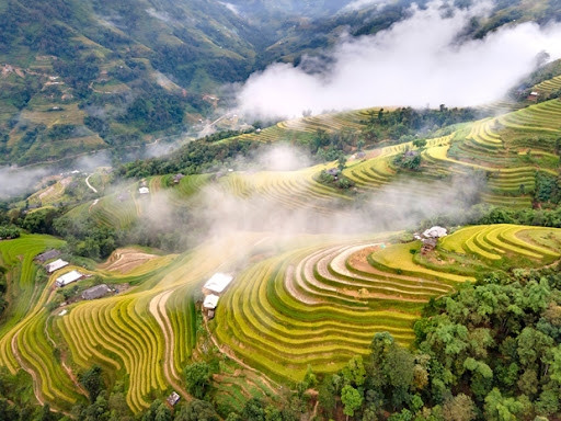 Ruộng bậc thang Hoàng Su Phì (Ảnh TL)