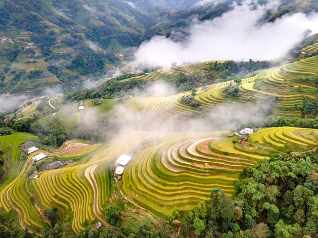Mùa vàng Hoàng Su Phì (Hà Giang) đẹp như một bức tranh