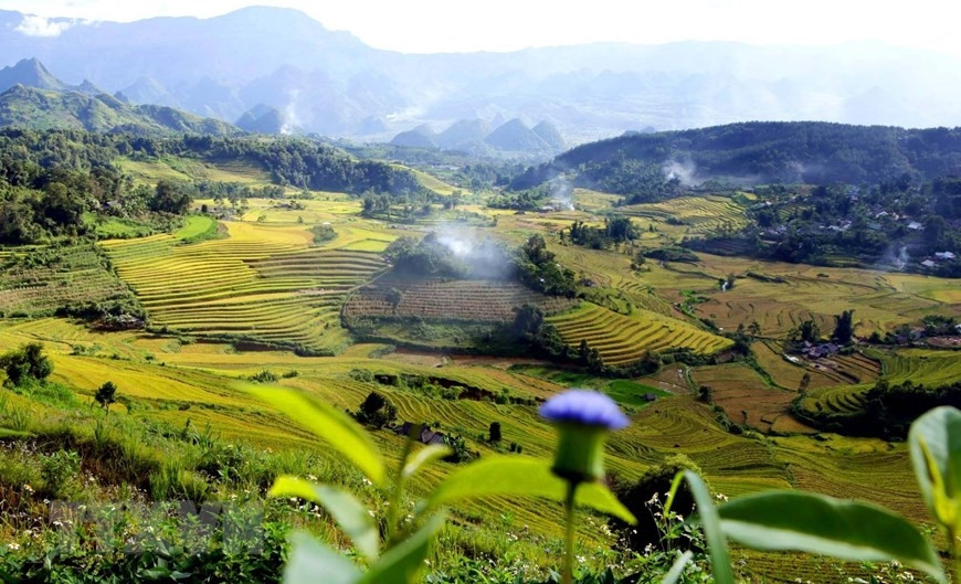 Những thửa ruộng bậc thang đẹp mê hoặc lòng người ở Tả Lèng 