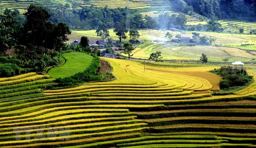 Những thửa ruộng bậc thang mềm mại uốn lượn quanh những ngôi nhà nhỏ đan xen với màu xanh cùng với khói chiều. (Ảnh: Quý Trung/TTXVN)