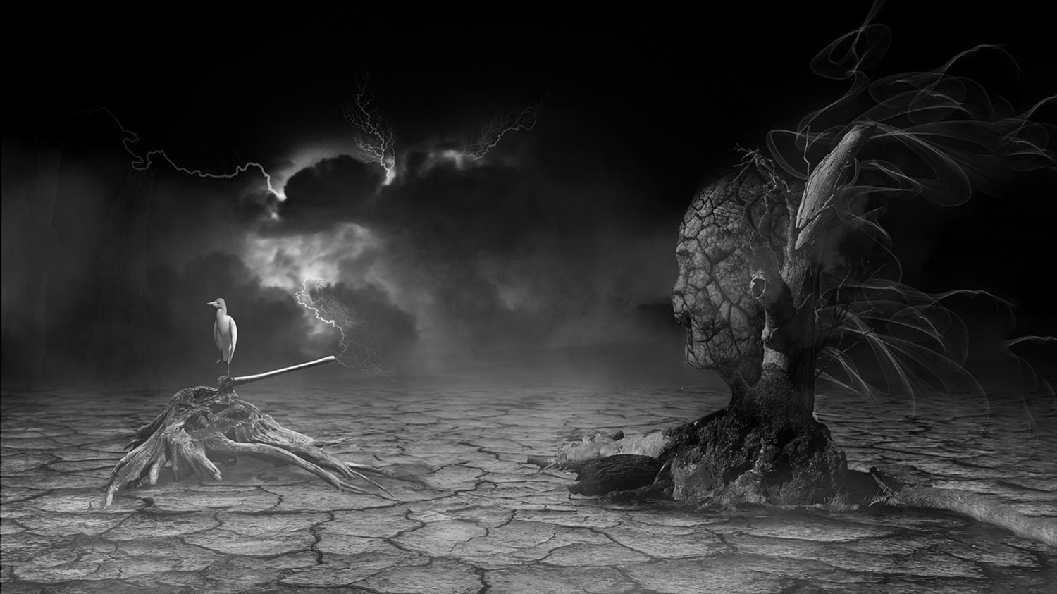 Tác phẩm: Devastation (Sự tàn phá) – Tác giả: Dương Vũ- Bằng Danh dự PSA Tác phẩm: Devastation (Sự tàn phá) – Tác giả: Dương Vũ- Bằng Danh dự PSA