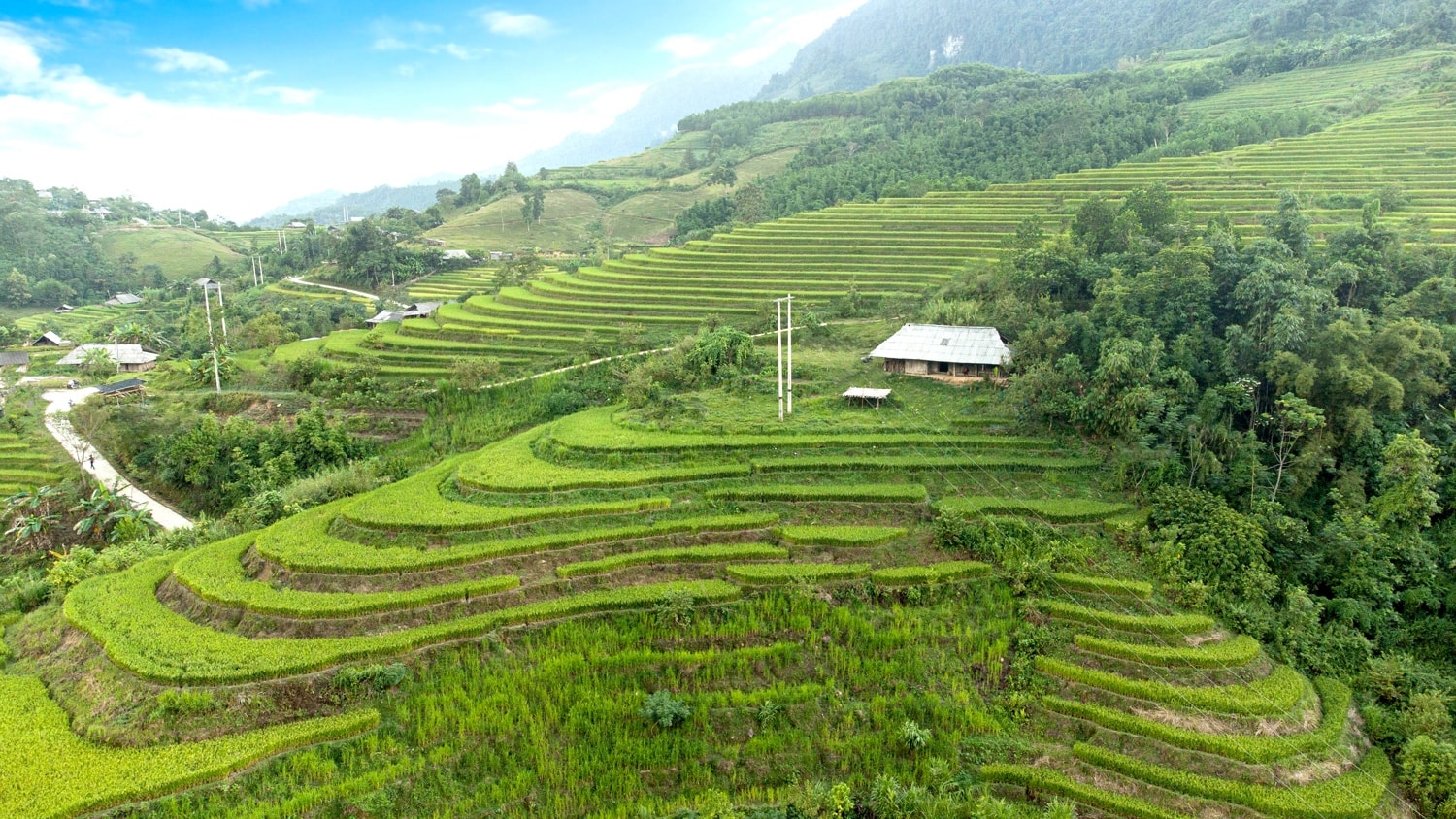 Ở thôn Khuổi Trang và Khuổi Củng đều có những thửa truộng bậc thang, qua đầu tháng 10 lúa bắt đầu chín rộ