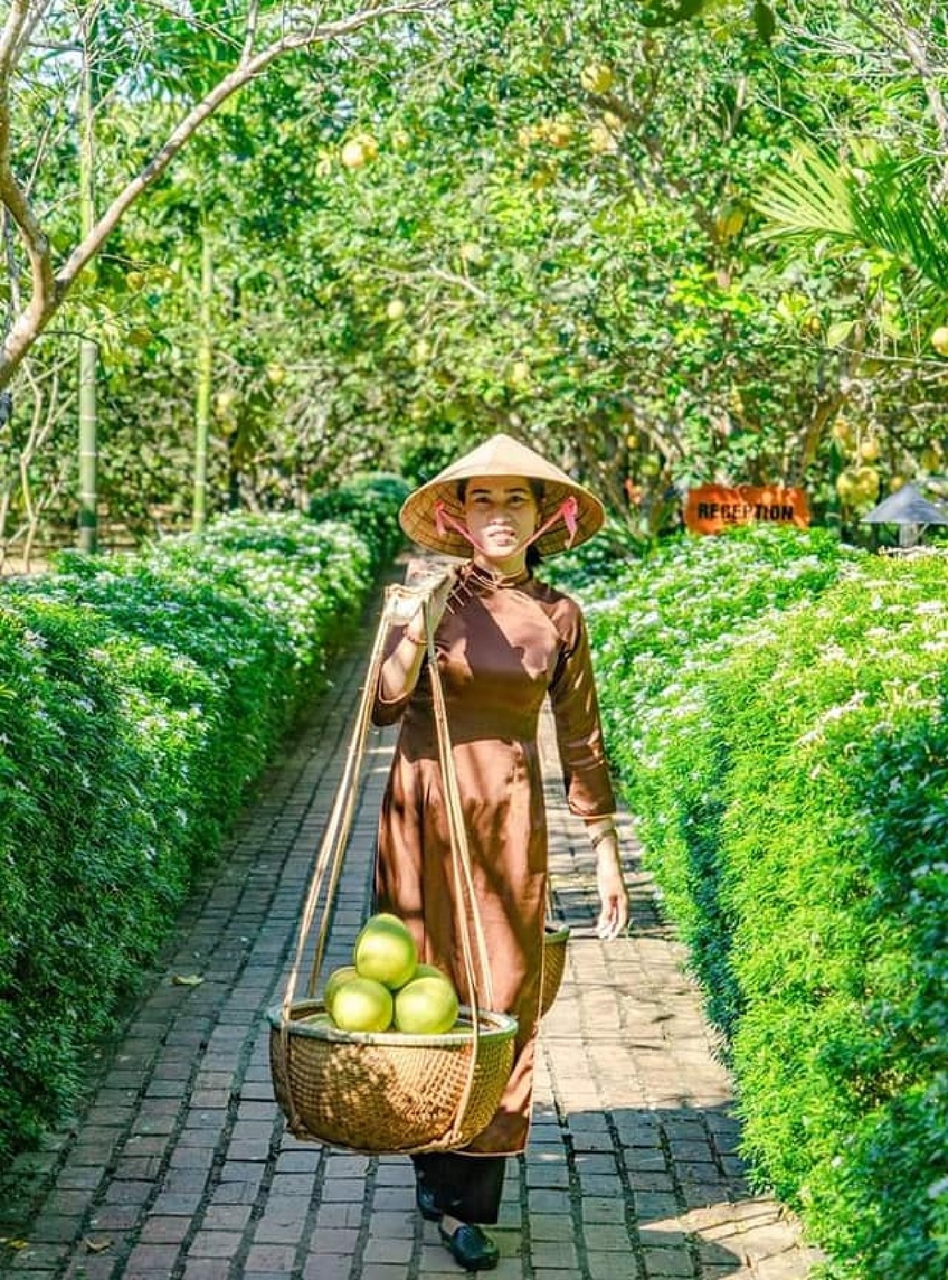 Thôn nữ gánh thanh trà
