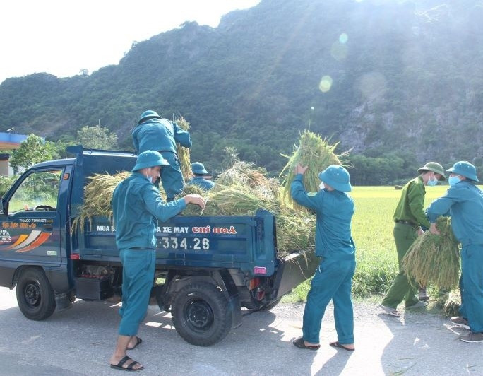 Dân quân các xã miền núi Như Thanh vận chuyển lúa giúp dân