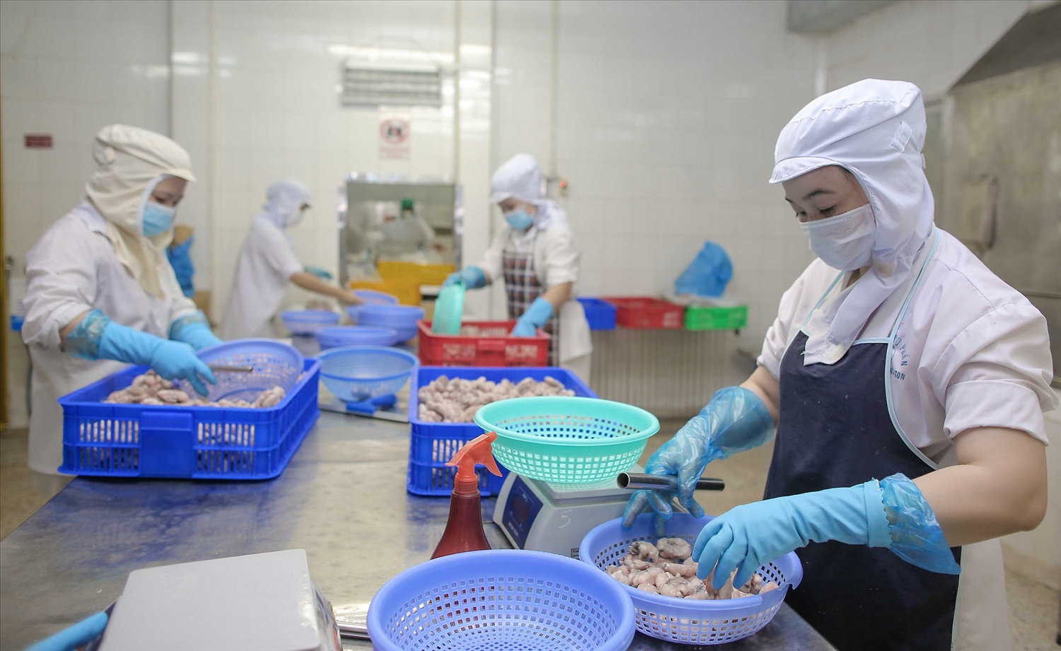 Phục hồi nền kinh tế giúp các doanh nghiệp giảm bớt áp lực khó khăn Phục hồi nền kinh tế giúp các doanh nghiệp giảm bớt áp lực khó khăn