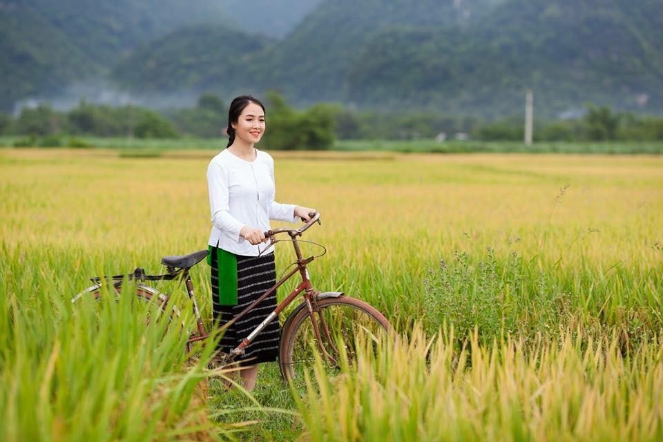 Cô gái dân tộc Thổ trên cánh đồng lúa
