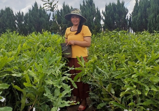 Chị Liêng Jrang K’Sáu không chỉ là cán bộ hội nhiệt huyết mà còn là nông dân sản xuất giỏi tại huyện Lạc Dương
