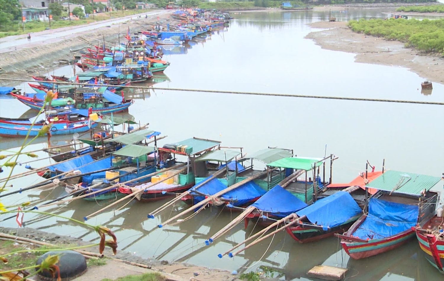 Ở Phương Mỹ, thuyền là phương tiện không thể thiếu của mỗi gia đình.