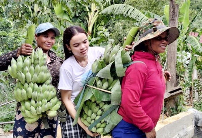 Bí thư Chi bộ Trương Thị Luôn (giữa) giúp sức cùng người dân hỗ trợ nông sản gửi tặng đồng bào bị ảnh hưởng bởi Covid-19. (Ảnh chụp trước ngày27/4/2021)