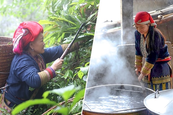 Tắm lá thuốc của người Dao đỏ ở Lào Cai là sản phẩm du lịch được nhiều du khách yêu thích. Tắm lá thuốc của người Dao đỏ ở Lào Cai là sản phẩm du lịch được nhiều du khách yêu thích.