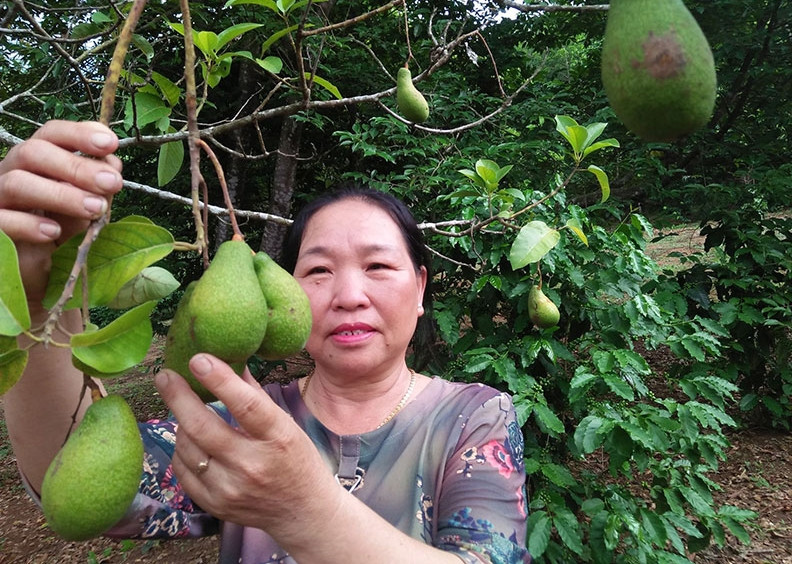 Chị Hoàng Thị Thủy ở thôn Tân Lập, xã Ea Ly phấn khởi khi đời sống kinh tế gia đình ngày càng ổn định