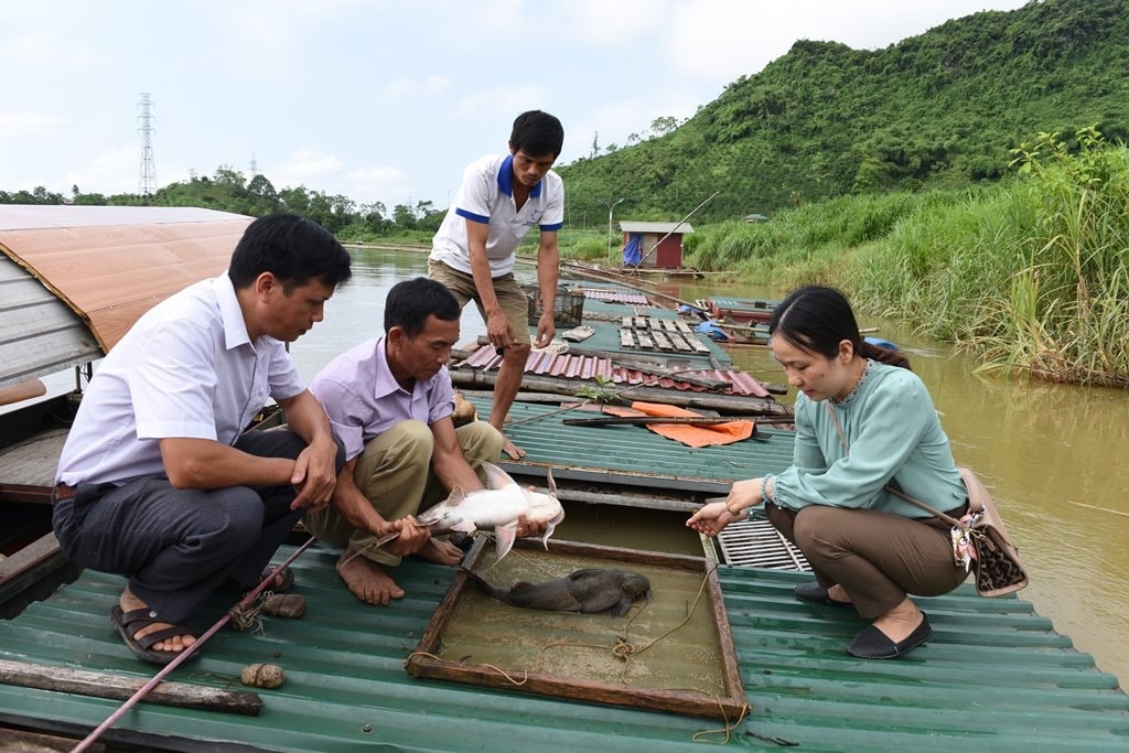 Từ nuôi cá, trung bình mỗi thành viên ở HTX Sản xuất - Kinh doanh cá đặc sản Thái Hòa, (Thái Hòa, Hàm Yên) lãi từ 100-350 triệu đồng/năm. 