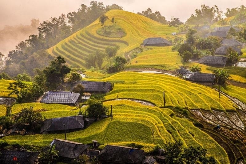 Du lịch khám phá mùa vàng trên tảng số đang được các địa phương triển khai, khi lúa đang độ chín vàng 