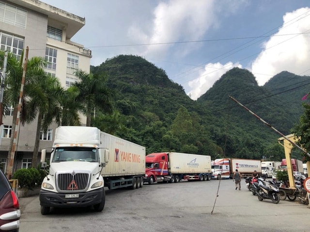 Khi những quy định mới chưa có hiệu lực thì việc thông quan nông sản của nước ta sang Trung Quốc cũng đã gặp không ít khó khăn. Ảnh minh họa - Nguồn: NLĐ. Khi những quy định mới chưa có hiệu lực thì việc thông quan nông sản của nước ta sang Trung Quốc cũng đã gặp không ít khó khăn. Ảnh minh họa - Nguồn: NLĐ.