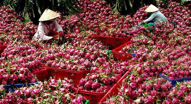 Trung Quốc là thị trường lớn thứ 2 của nông lâm, thủy sản Việt Nam. Ảnh minh họa - Nguồn: Dân trí. Trung Quốc là thị trường lớn thứ 2 của nông lâm, thủy sản Việt Nam. Ảnh minh họa - Nguồn: Dân trí.
