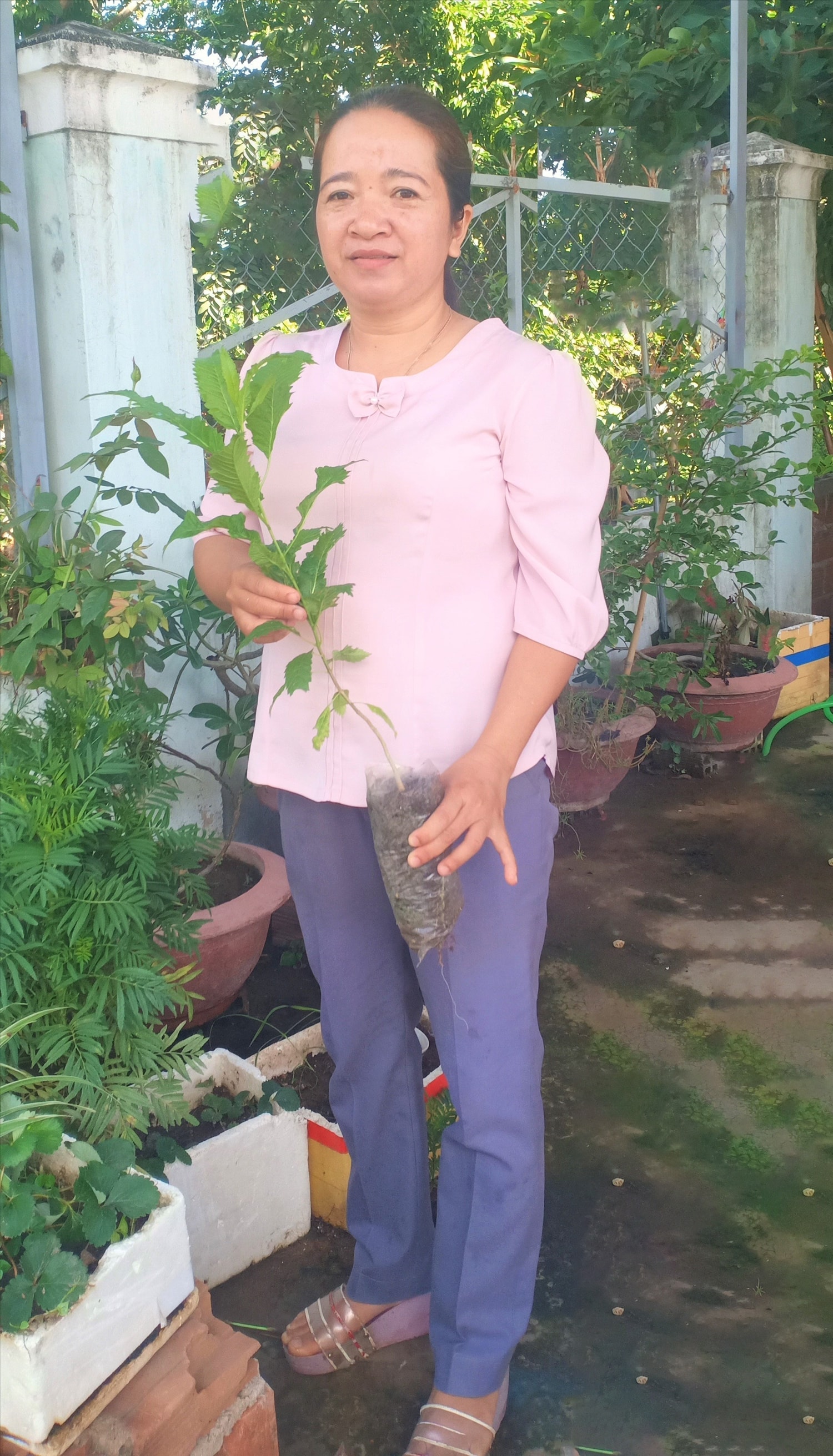 Chị Li Na chia sẻ việc ươm thành công giống cây hoàng yến để trồng trên các tuyến đường vào buôn Rưng Ma Nin Chị Li Na chia sẻ việc ươm thành công giống cây hoàng yến để trồng trên các tuyến đường vào buôn Rưng Ma Nin