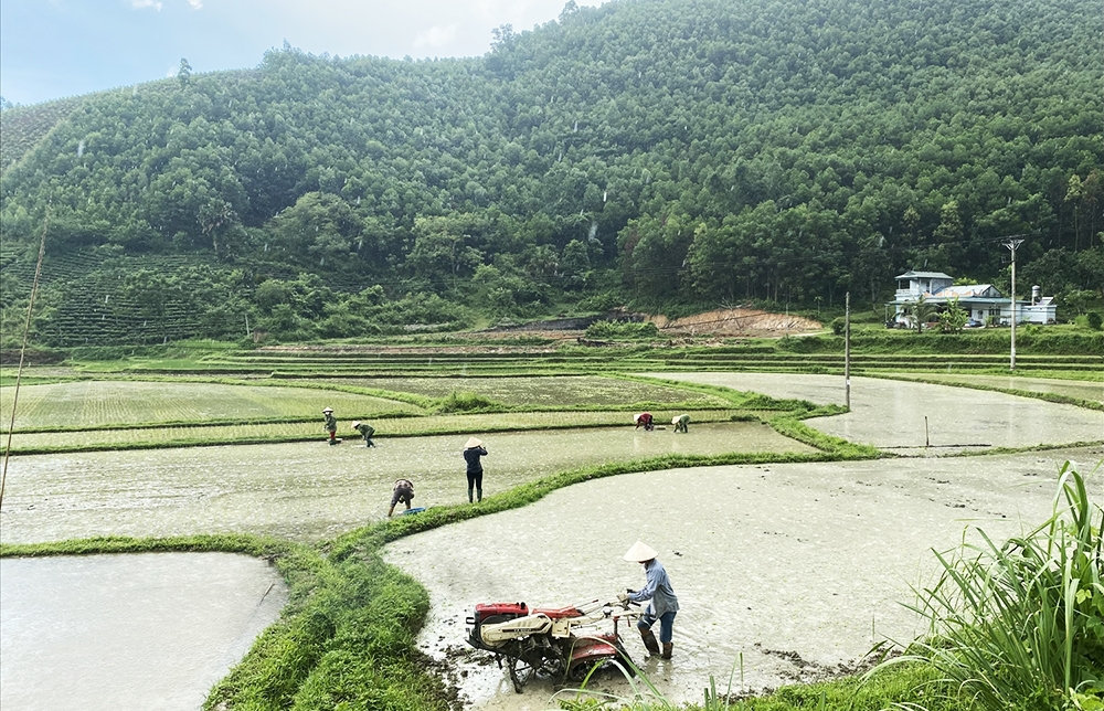 Nhờ chuyển đổi cơ cấu cây trồng, đời sống của người dân Tân Sơn từng bước được cải thiện