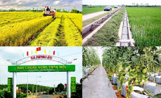 Các bộ, ngành và địa phương triển khai Chương trình MTQG xây dựng nông thôn mới.