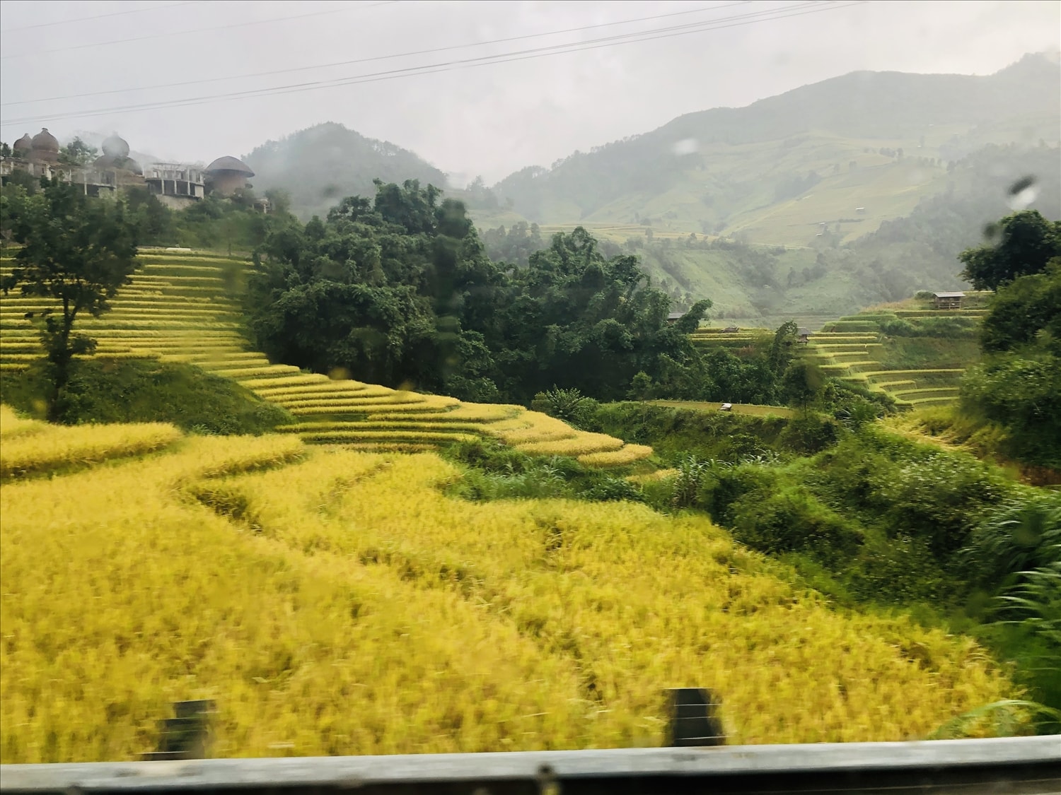 ''Mùa vàng'' du lịch Đông - Tây Bắc 3