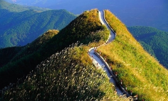 ''Mùa vàng'' du lịch Đông - Tây Bắc 1