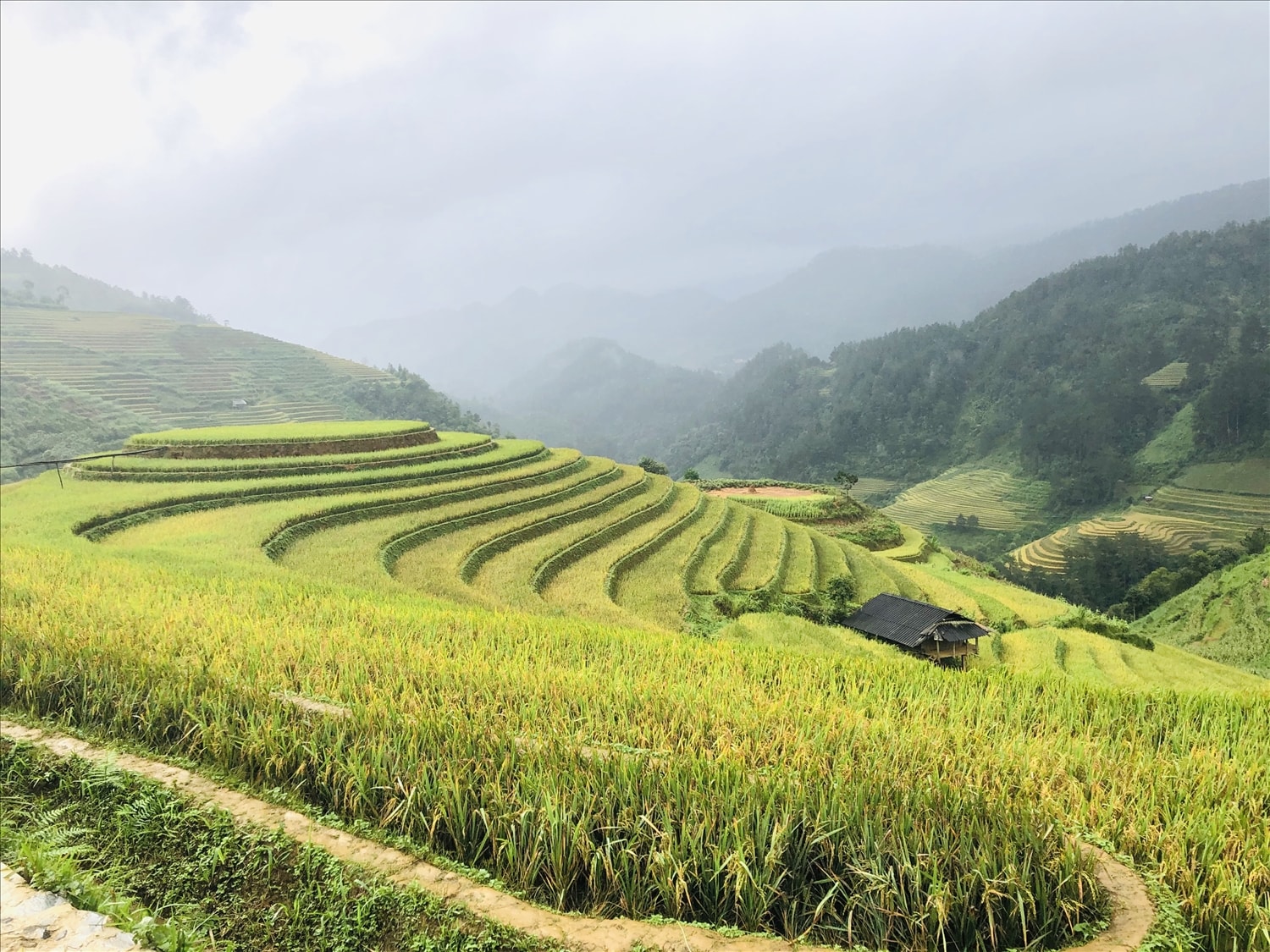 ''Mùa vàng'' du lịch Đông - Tây Bắc 2