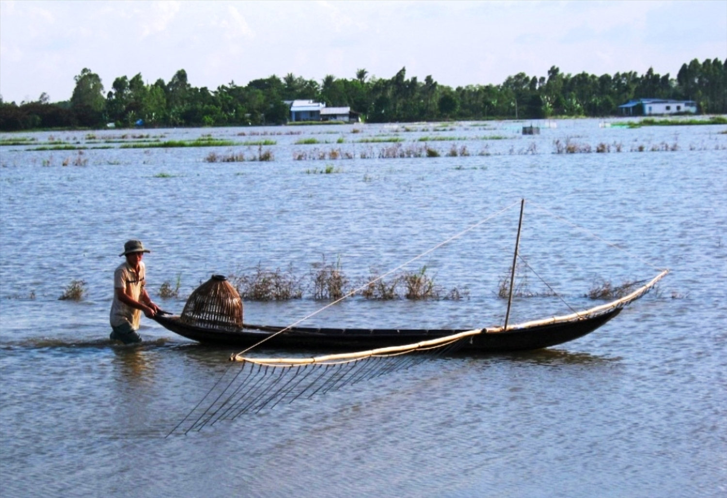 Nước tràn đồng và chuyển dần sang màu đỏ phù sa báo hiệu mùa nước nổi đã về. Đây cũng là thời điểm người dân đánh bắt thủy sản trên đồng