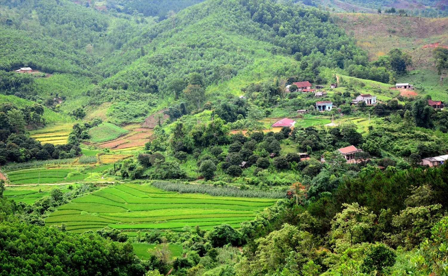Đồng bào DTTS huyện Sơn Động (Bắc Giang) thụ hưởng nhiều chính sách đa dạng hóa sinh kế, chăm lo đời sống văn hóa. (Ảnh TL)